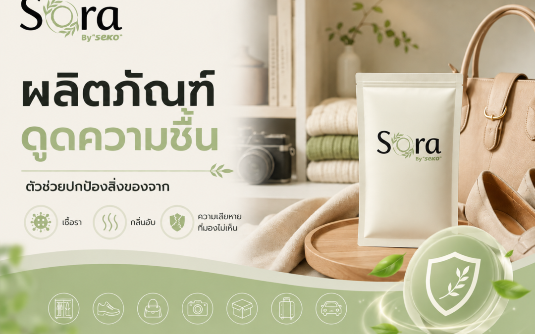 ผลิตภัณฑ์ดูดความชื้น ตัวช่วยปกป้องสิ่งของจากเชื้อรา กลิ่นอับ และความเสียหายที่มองไม่เห็น