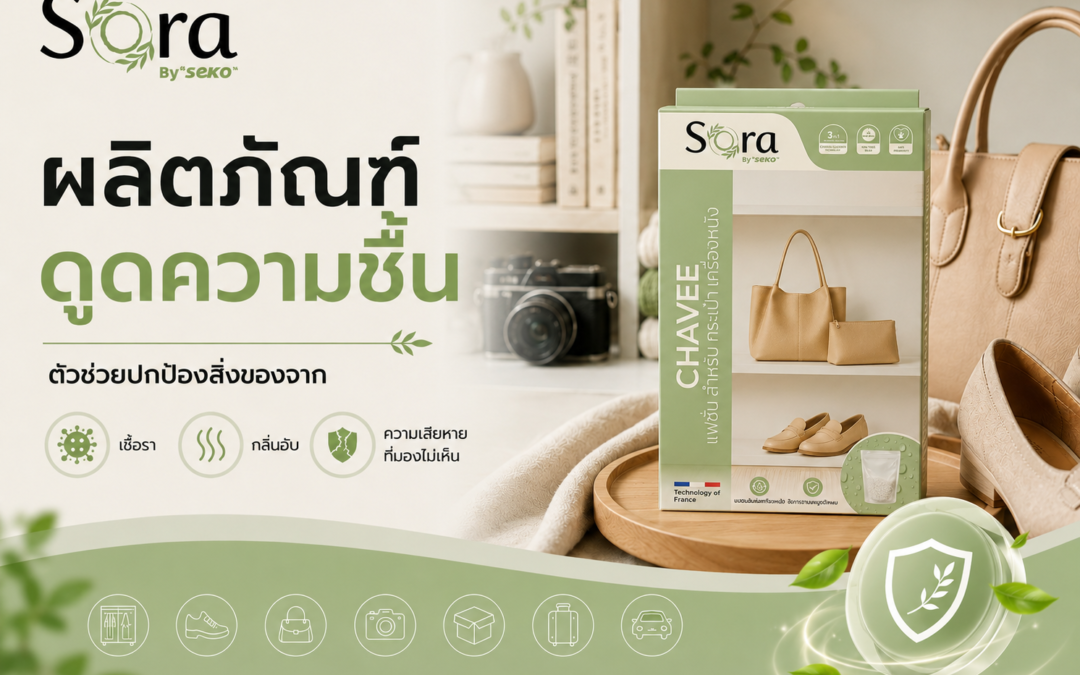 ที่ดูดความชื้น ตัวช่วยปกป้องสิ่งของจากเชื้อรา กลิ่นอับ และความเสียหายที่มองไม่เห็น