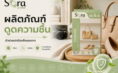 ที่ดูดความชื้น ตัวช่วยปกป้องสิ่งของจากเชื้อรา กลิ่นอับ และความเสียหายที่มองไม่เห็น