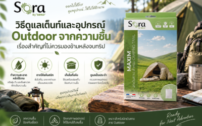 วิธีดูแลเต็นท์และอุปกรณ์ Outdoor จากความชื้น เรื่องสำคัญที่ไม่ควรมองข้ามหลังจบทริป