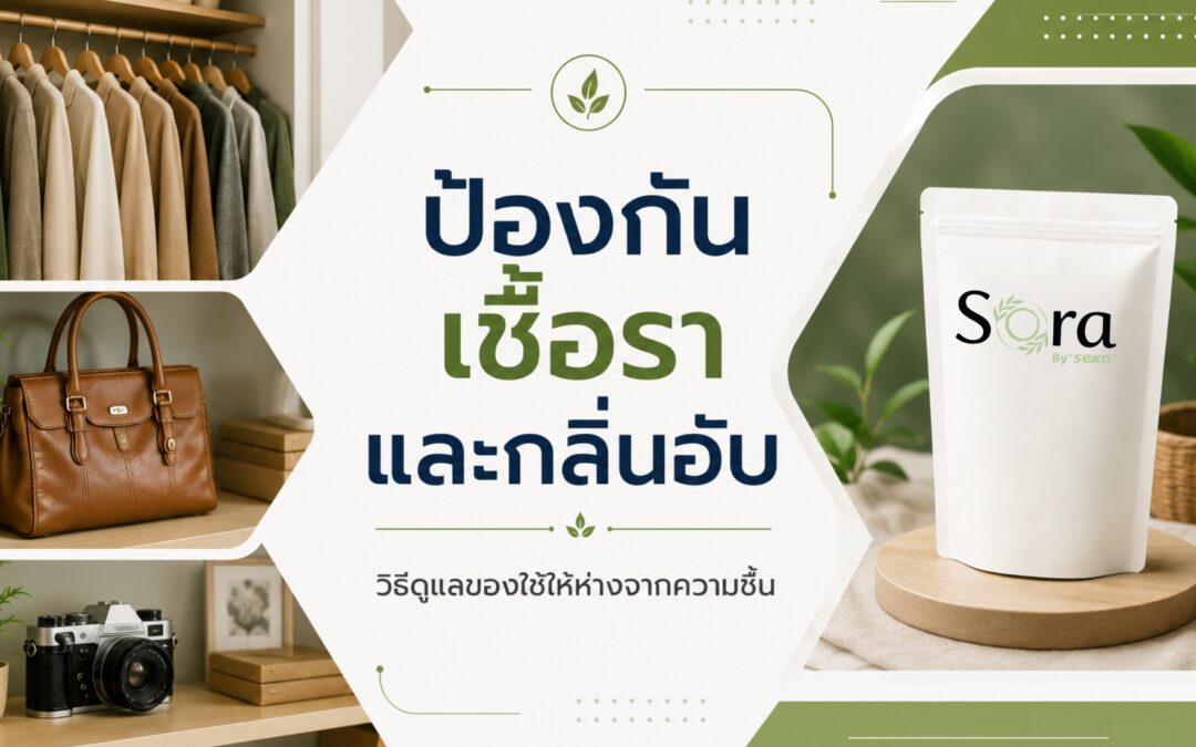 ป้องกันเชื้อราและกลิ่นอับ วิธีดูแลของใช้ให้ห่างจากความชื้น