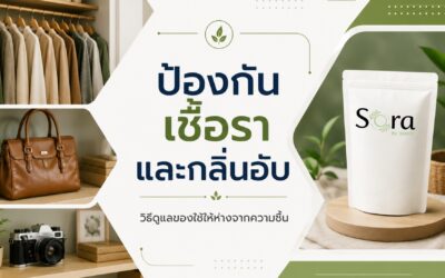 ป้องกันเชื้อราและกลิ่นอับ วิธีดูแลของใช้ให้ห่างจากความชื้น