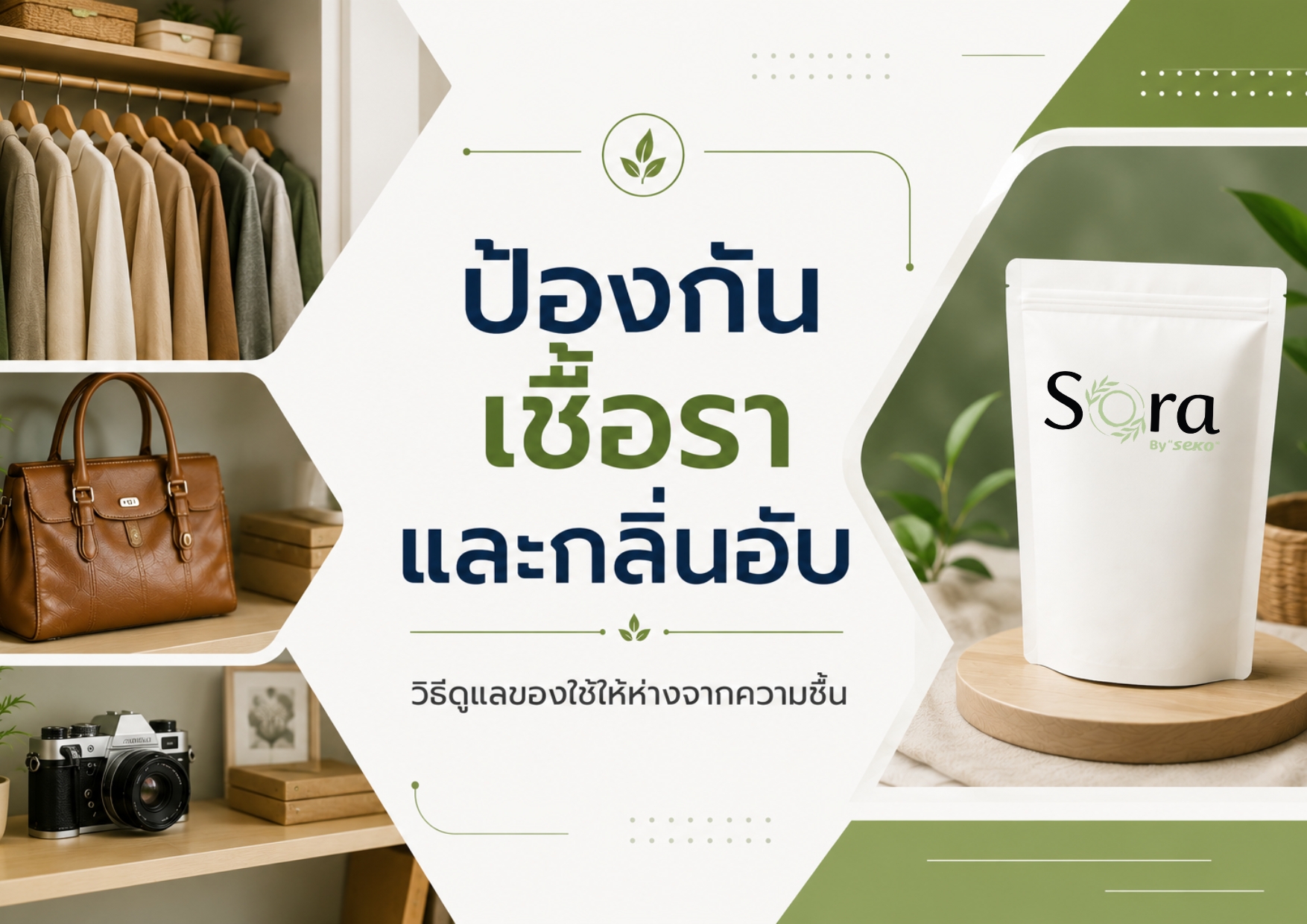 ป้องกันเชื้อราและกลิ่นอับ วิธีดูแลของใช้ให้ห่างจากความชื้น